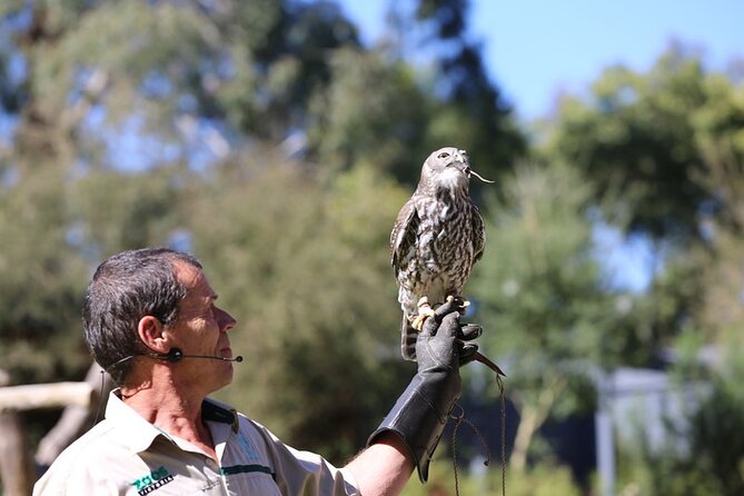 1 day Puffing Billy Steam Train and Wildlife Tour from Melbourne - Lakeside Visitor Centre and the meal break