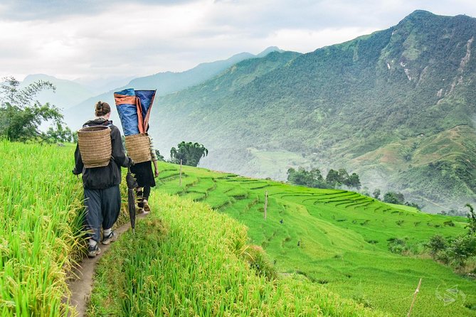 2-Day Amazing Sapa Trek With Sleeper Train From Hanoi - Overnight At Hotel - Lao Cai to Sapa, then breakfast before the trail