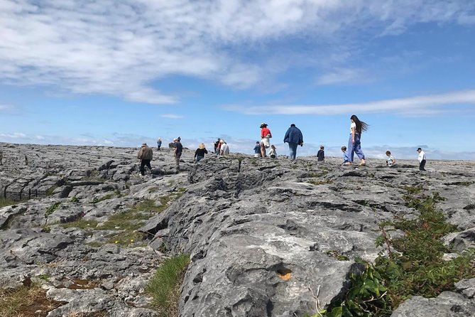 2-Day Rail Tour: Galway, Cliffs of Moher & Medieval banquet in Bunratty Castle - The return train through Ireland’s interior