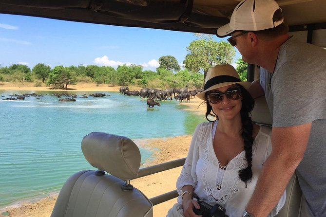 2 Day Tour of Udawalawe & Ella with Up Country Scenic Train Ride - All Inclusive - The 4:00am run to Udawalawe National Park