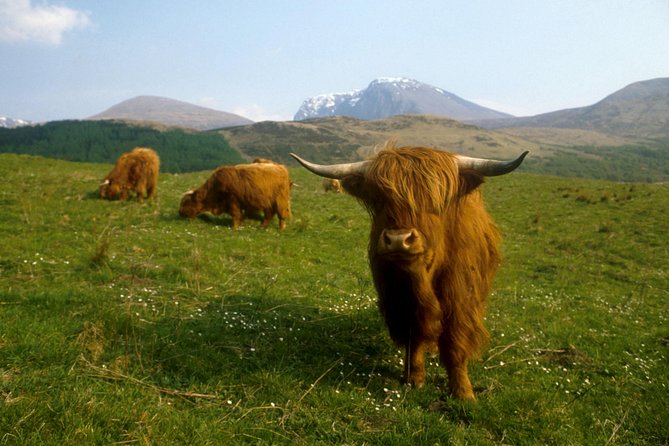 3-Day Isle of Skye, 'Hogwarts Express' Train and Highlands Tour - Day two: Skye’s famous sights in one full day