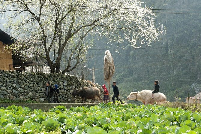 3 Days Sapa Tour with Night Train from Hanoi - What to pack for the train and mountain walks