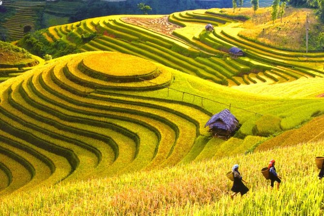 3 Days Sapa Tour with Night Train from Hanoi - Weather and the strict cancellation rule