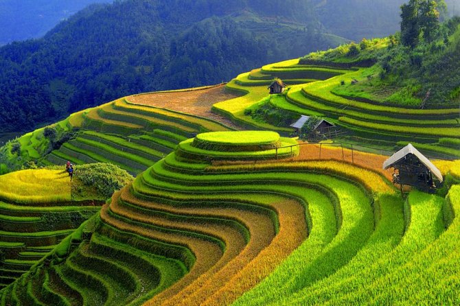 3 Days Sapa Tour with Night Train from Hanoi - What the first Sapa trekking day delivers