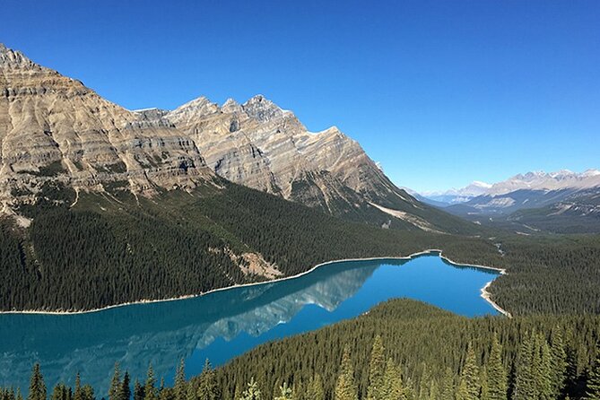 6-Day Rocky Mountaineer Train Tour, From Vancouver to Rockies - Group size, guides, and the daily rhythm