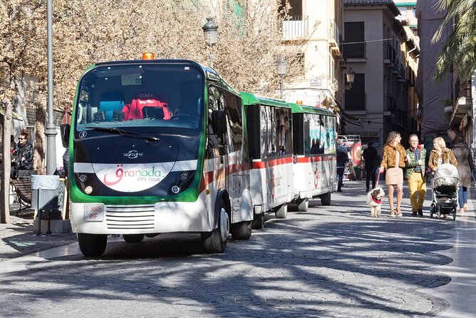 Alhambra tickets with Nasrid Palaces + Tourist Train - The Nasrid Palaces and the problem of assigned times