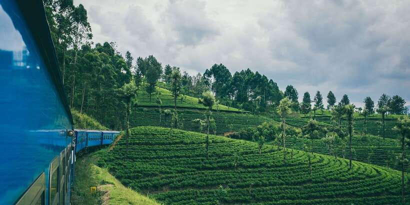 All Inclusive Ella From/To Kandy Scenic Train Journey - The pickup near Kandy and the trip to the station