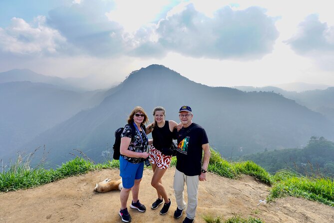All inclusive private Ella Day Tour with Train Ride & Teafactory - Key points at a glance