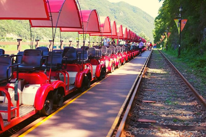 Alpaca World and Nami Island with Gangchon Rail Bike Tour - Three countryside attractions in one long Seoul day