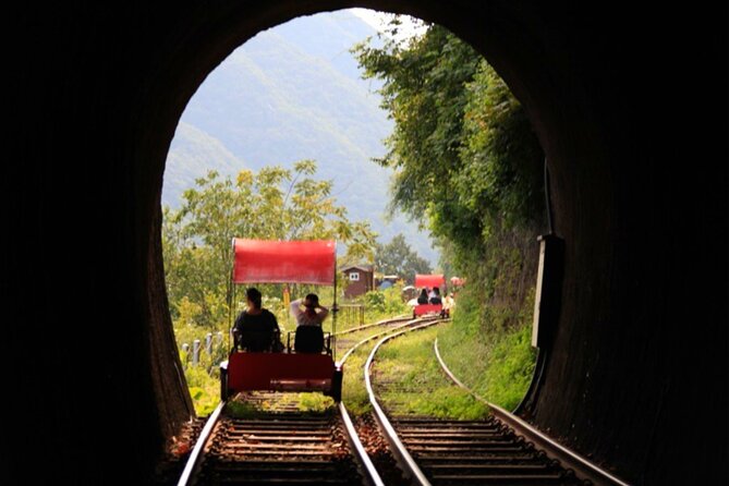 Alpaca World and Nami Island with Gangchon Rail Bike Tour - Why the guide can make or break the day