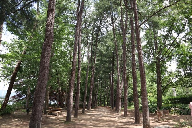 Alpaca World and Nami Island with Gangchon Rail Bike Tour - Price, practical details, and cancellation terms