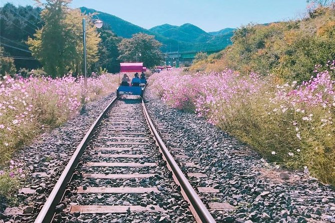 Alpaca World with Gangchon Rail Park One Day Tour - Physical effort, clothing, and weather
