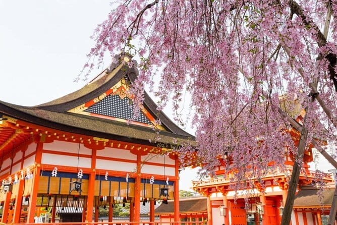 Arashiyama Walking Tour with Optional Sagano Romantic Train Ride - What the guide adds