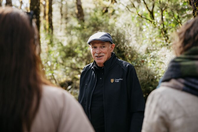 Arthur's Pass Discovery and TranzAlpine Train - Small Group Tour - Why this Christchurch day trip works so well