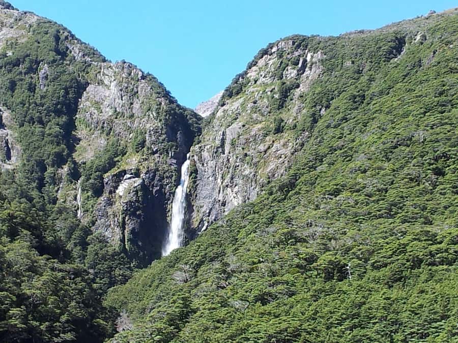 Arthur's Pass: TranzAlpine Train and Castle Hill Day Tour - Who should book this tour?