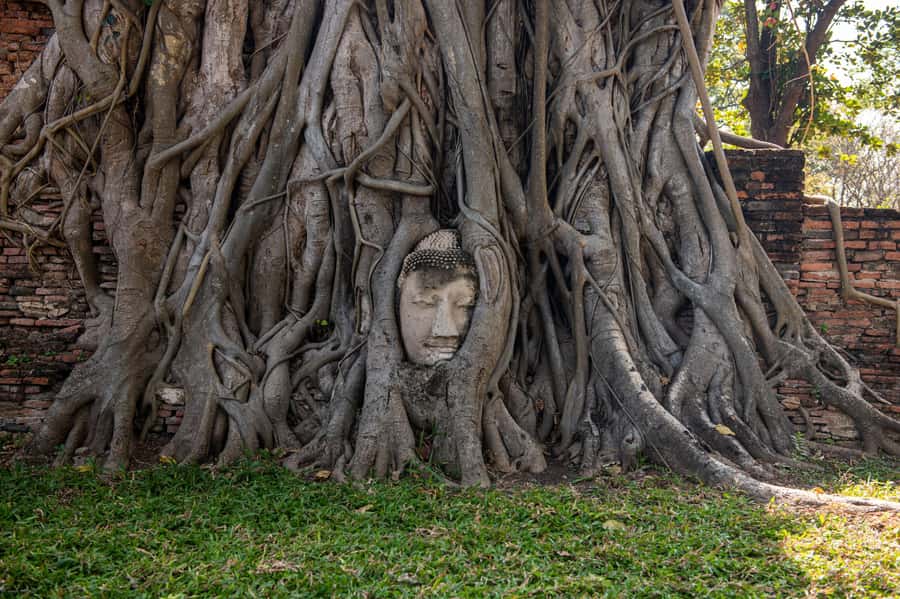 Bangkok: Ayutthaya, Railway & Floating Markets Full-Day Tour - Lunch is flexible, but not covered
