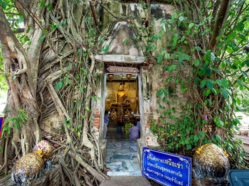 Bangkok: Maeklong Railway & Amphawa Floating Market Day Trip - Who will enjoy this day most