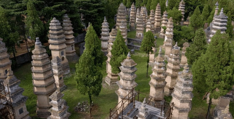 Beijing:Bullet Train Day Tour to Shaolin Temple&Martial Arts - The Shaolin Kung Fu Theater Performance
