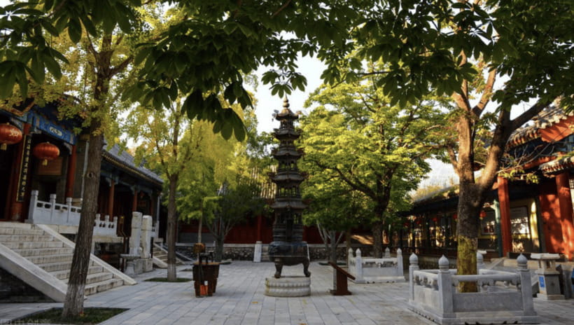 Beijing:Bullet Train Day Tour to Shaolin Temple&Martial Arts - Should You Book This Shaolin Day Tour?