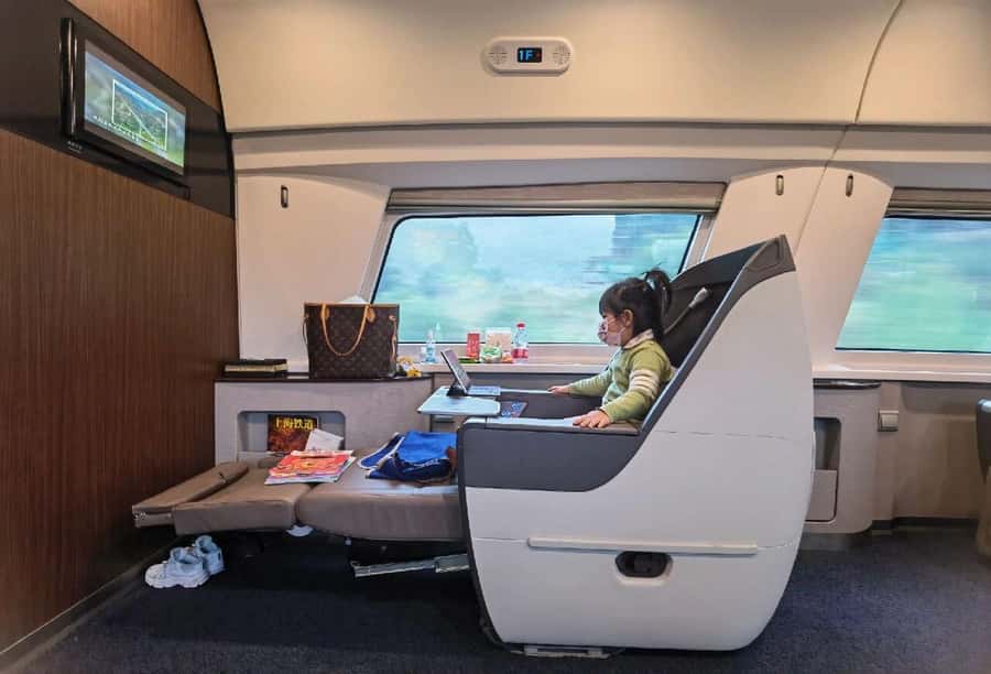 Beijing to Xi'an Terracotta Tour by Roundtrip Bullet Train - What the 4.5-hour bullet train adds
