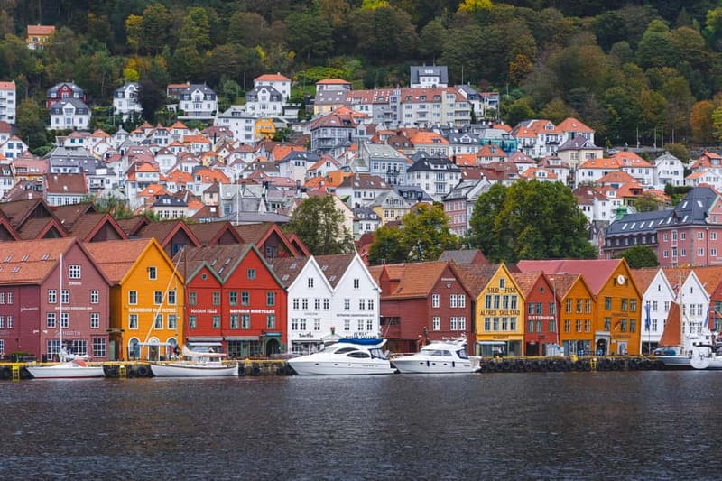 Bergen: Flam Railway, Viking Village Tour with Fjord Cruise - Stegastein and the road to the fjord