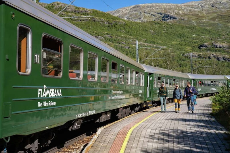 Bergen: Flam Railway, Viking Village Tour with Fjord Cruise - Is the $955 price fair?