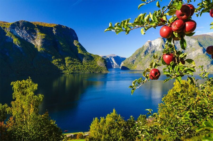 Bergen: Private Day Tour, Nærøyfjord Cruise and Flåm Railway - What the $1,259 price really buys you