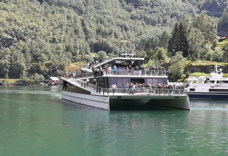 Bergen to Oslo: Private Nærøyfjord Cruise and Flåm Railway - Who Should Book This Bergen to Oslo Tour?