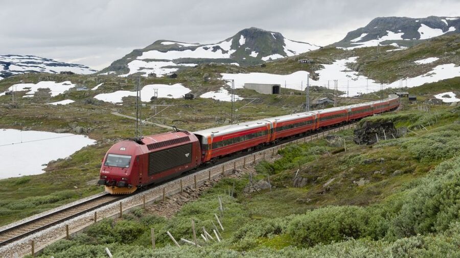 Bergen: Viking Village, Nærøyfjord Cruise & Flåm Railway - Riding the Flåm Railway to Myrdal