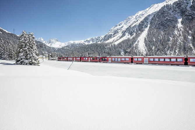Bernina Red Train And St Moritz Tour from Milan - Who should book this tour?