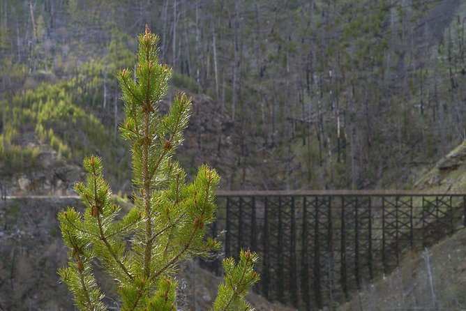 Bicyle Tour on Historical Kettle Valley Railway from Myra Canyon to Penticton - Finishing at D’Angelo Winery in Penticton
