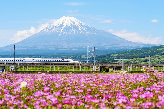 Bullet Train and Mt. Fuji Famous Food Tour - Three hours of Fujinomiya food stops