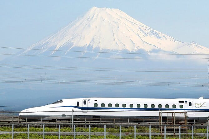 Bullet Train Experience & Mishima Shrine Private Tour from Tokyo - Key points to know before you book