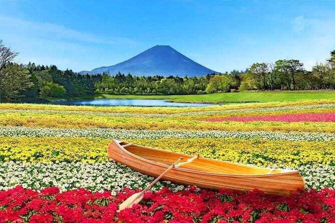 Bullet Train Experience & Mishima Shrine Private Tour from Tokyo - Mishima Station and the city’s spring water
