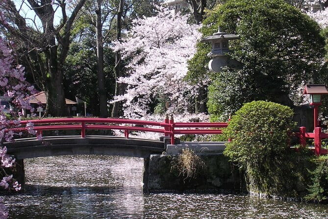 Bullet Train Experience & Mishima Shrine Private Tour from Tokyo - The morning pickup and Tokyo Station transfer