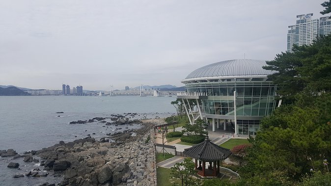 Busan city tour from Seoul by KTX bullet train - Why this KTX day trip works