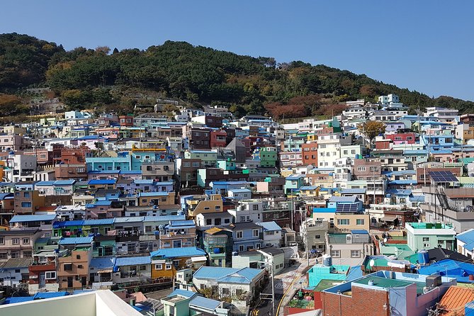 Busan city tour from Seoul by KTX bullet train - Jagalchi Market and Busan’s working waterfront
