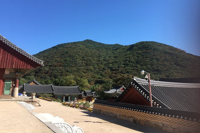 Busan day trip including Gamcheon culture village from Seoul by KTX train - Gamcheon Culture Village explains the famous colors