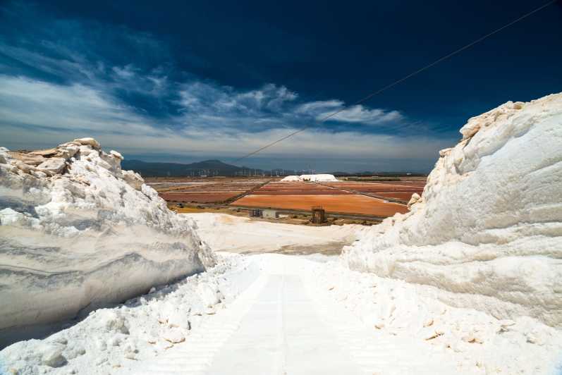 Cagliari: Conti Vecchi Salt Flats Train and Tour - Why the salt flats are worth your time