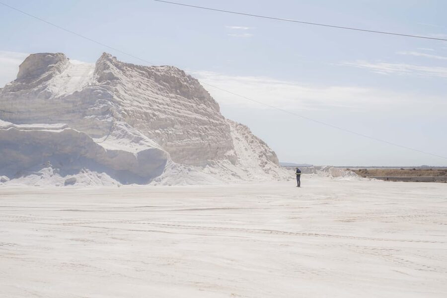 Cagliari: Conti Vecchi Salt Flats Train and Tour - Flamingos and wetland birdlife