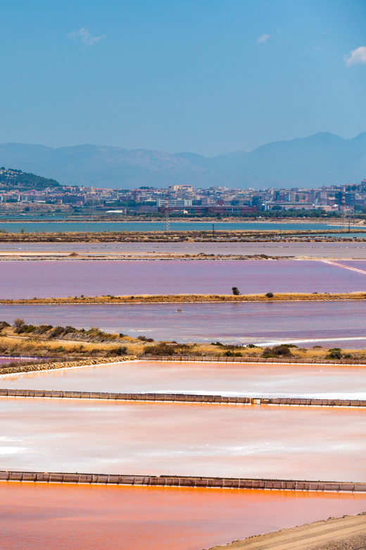 Cagliari: Conti Vecchi Salt Flats Train and Tour - Accessibility and comfort