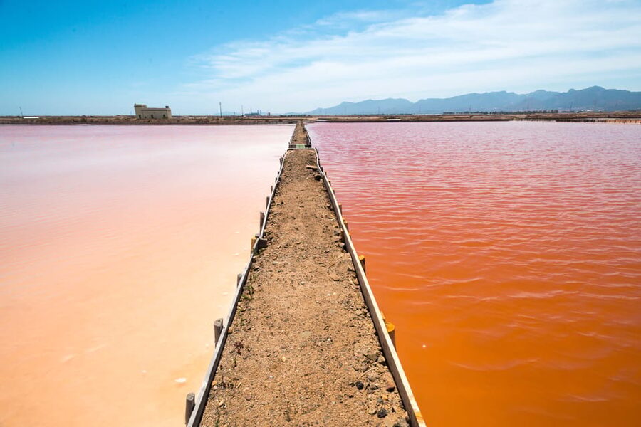 Cagliari: Conti Vecchi Salt Flats Train and Tour - Who will enjoy Conti Vecchi most?