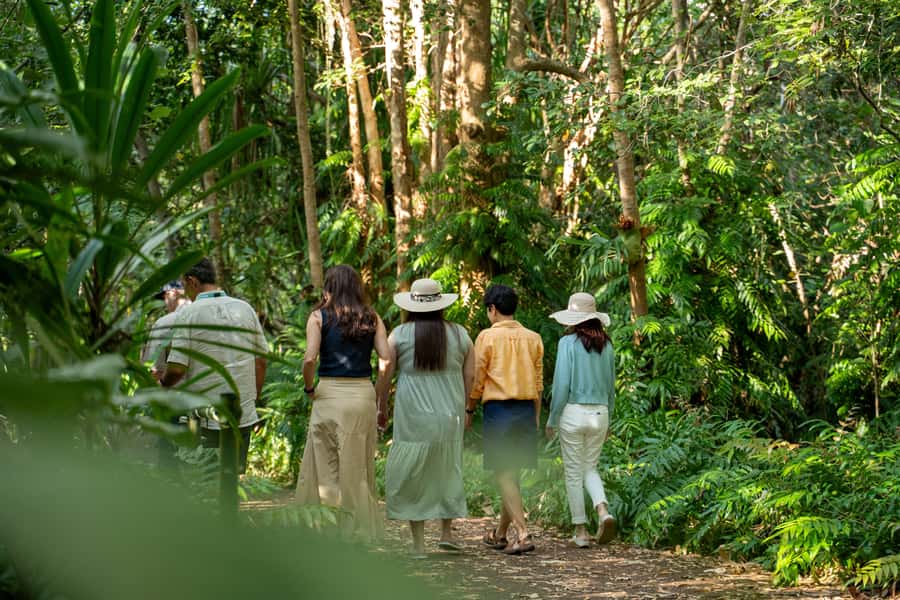 Cairns: Cattana Wetlands, Barron Falls & Kuranda Railway - Din Din, the Djabugay name for Barron Falls