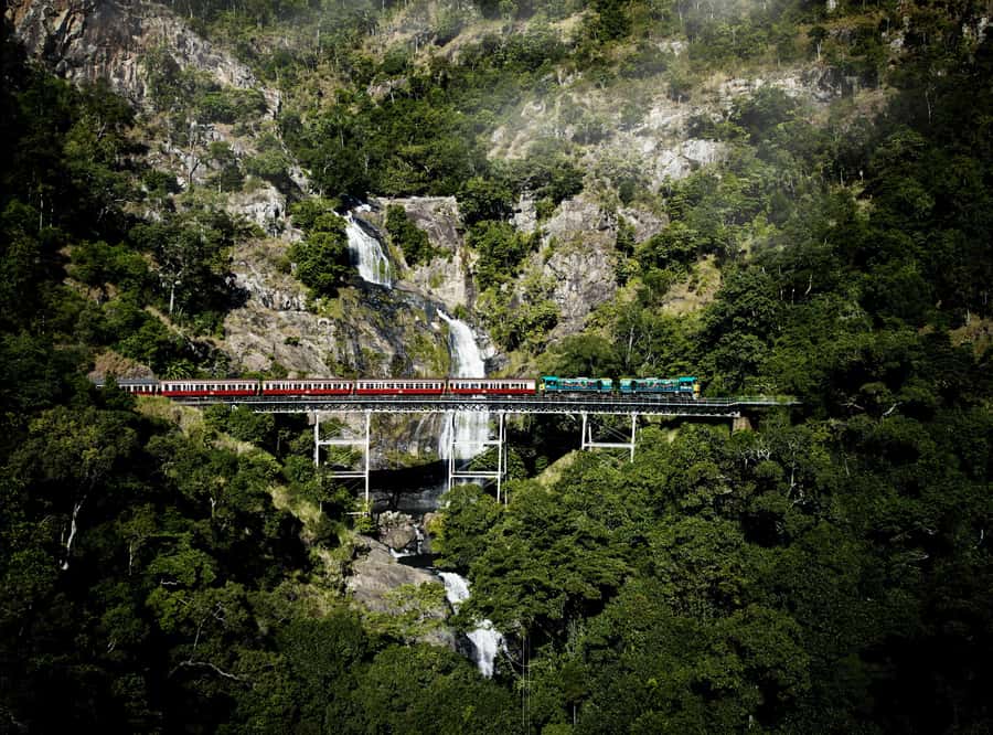 Cairns: Cattana Wetlands, Barron Falls & Kuranda Railway - Kuranda Scenic Railway through Barron Gorge