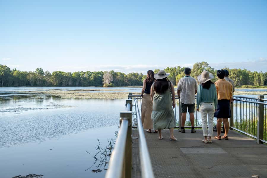 Cairns: Cattana Wetlands, Barron Falls & Kuranda Railway - Cattana Wetlands and the feather palm forest