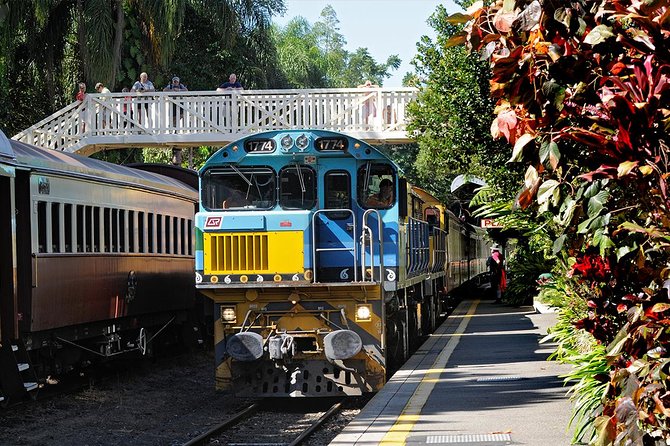 Cairns Small-Group Kuranda Tour: Skyrail & Scenic Railway - Skyrail from Smithfield to the rainforest canopy