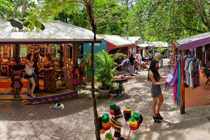 Cairns Super Saver: Reef Cruise, Daintree & Kuranda Rail/Skyrail - Is the $423.17 price good value?