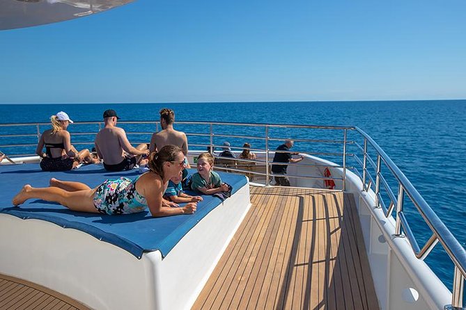 Cairns Super Saver: Reef Cruise, Daintree & Kuranda Rail/Skyrail - Should you book it?