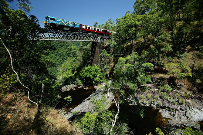 Cairns: Waterfall, Wetlands & Kuranda Scenic Rail All Inclusive - What the $215.90 price covers in practical terms