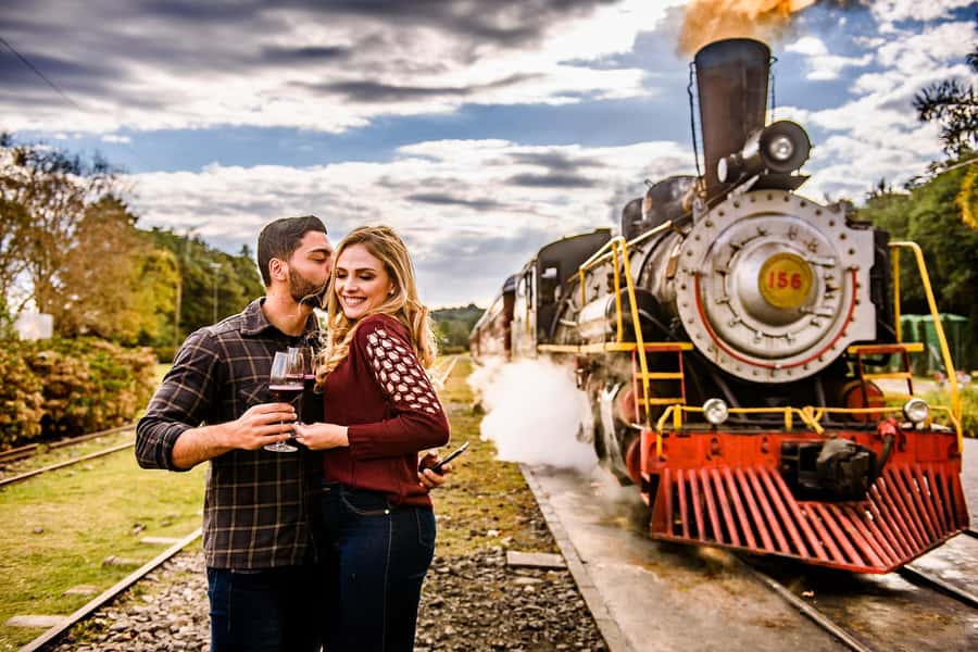 Canela/Gramado: South Wineries, Wine Train, & Italian Park - Key points to know before you book